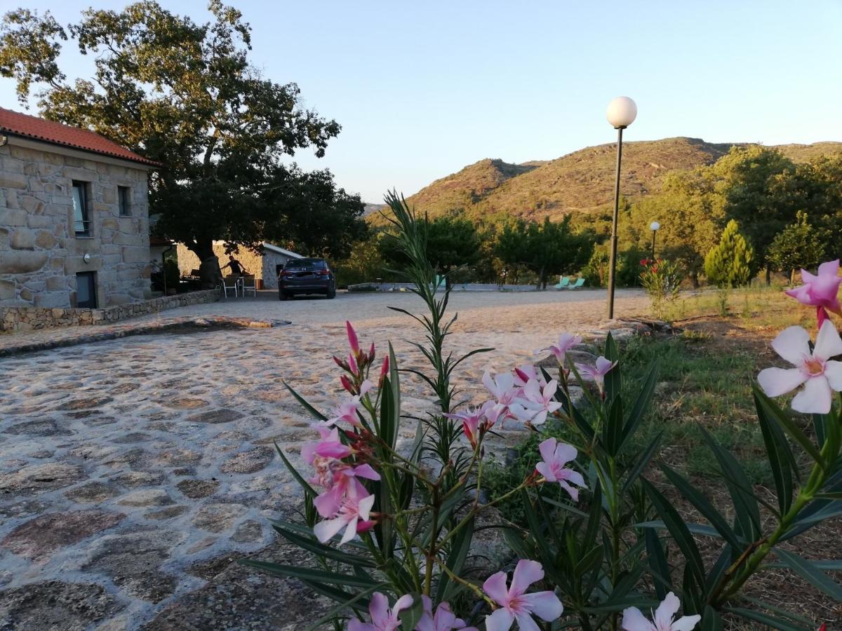 Quinta Dos Carvalhais - Serra Da Estrela Форнуш-ди-Алгодриш Экстерьер фото