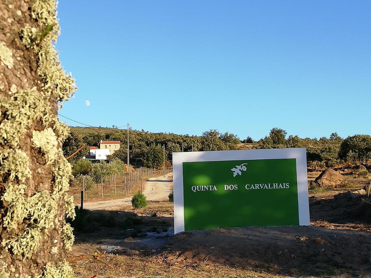 Quinta Dos Carvalhais - Serra Da Estrela Форнуш-ди-Алгодриш Экстерьер фото