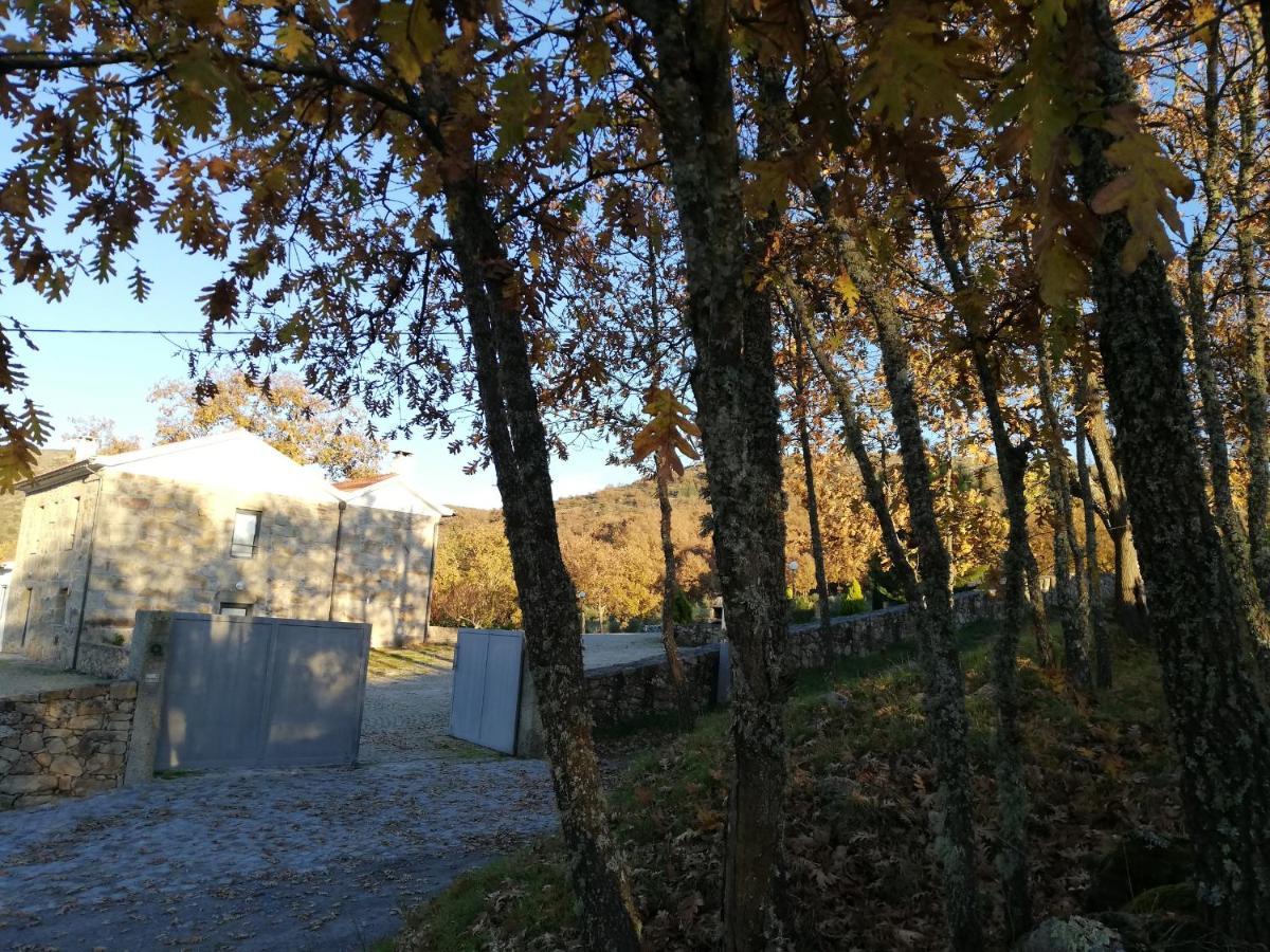 Quinta Dos Carvalhais - Serra Da Estrela Форнуш-ди-Алгодриш Экстерьер фото