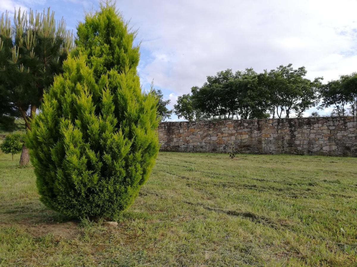 Quinta Dos Carvalhais - Serra Da Estrela Форнуш-ди-Алгодриш Экстерьер фото
