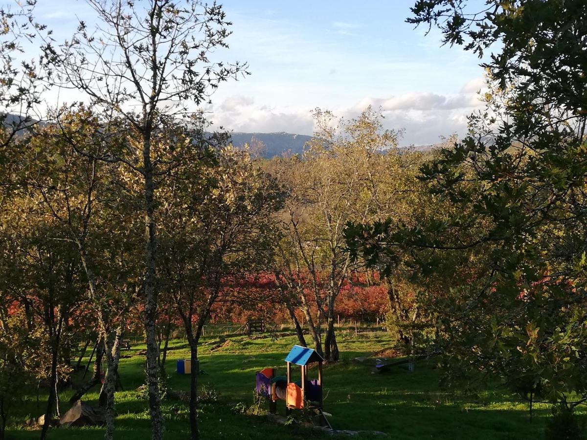 Quinta Dos Carvalhais - Serra Da Estrela Форнуш-ди-Алгодриш Экстерьер фото