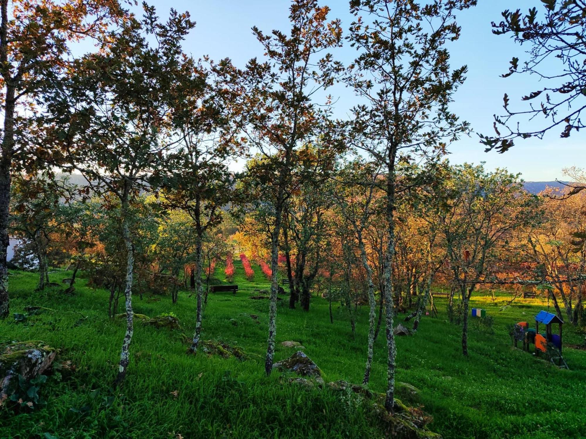 Quinta Dos Carvalhais - Serra Da Estrela Форнуш-ди-Алгодриш Экстерьер фото