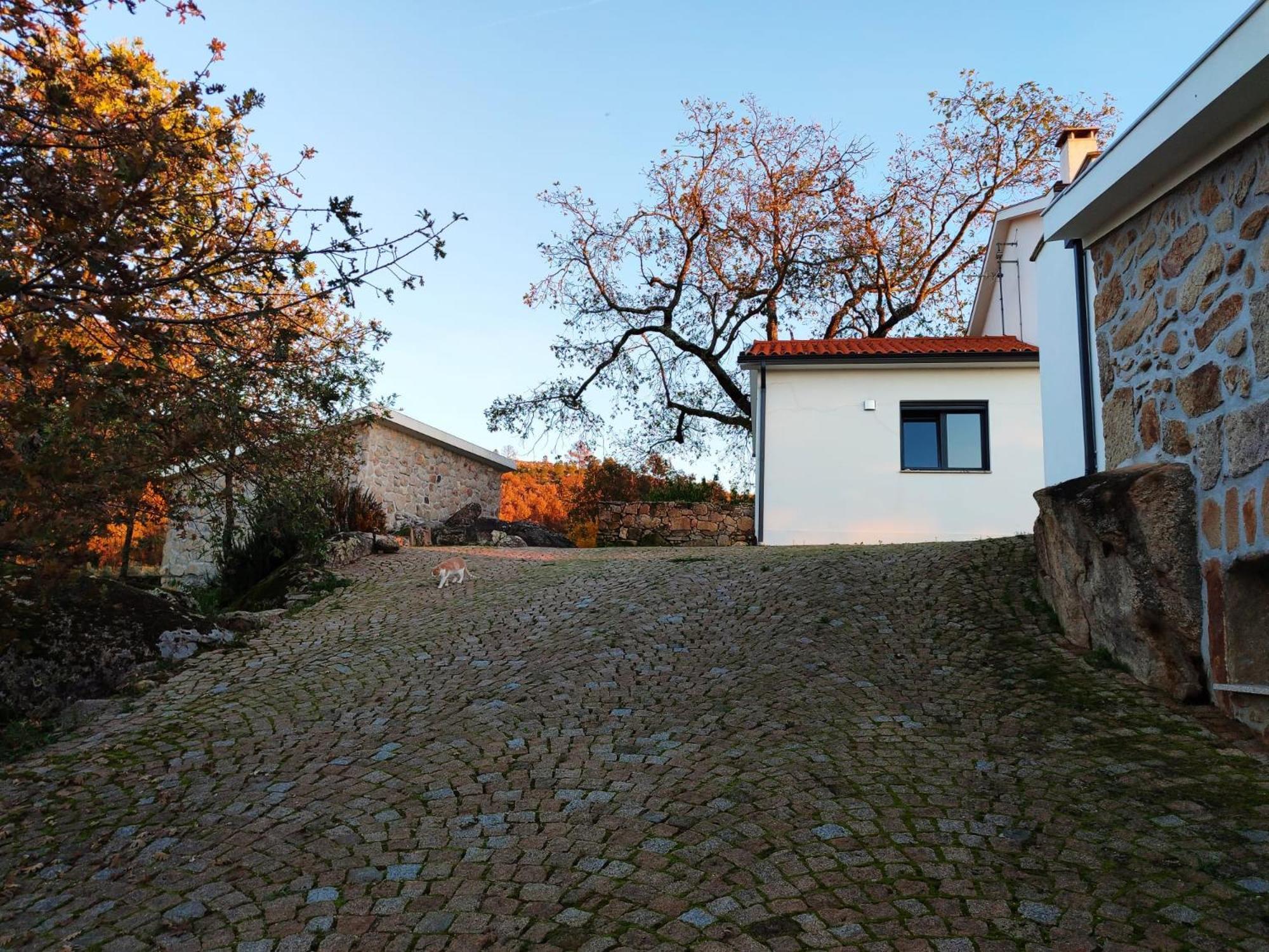 Quinta Dos Carvalhais - Serra Da Estrela Форнуш-ди-Алгодриш Экстерьер фото