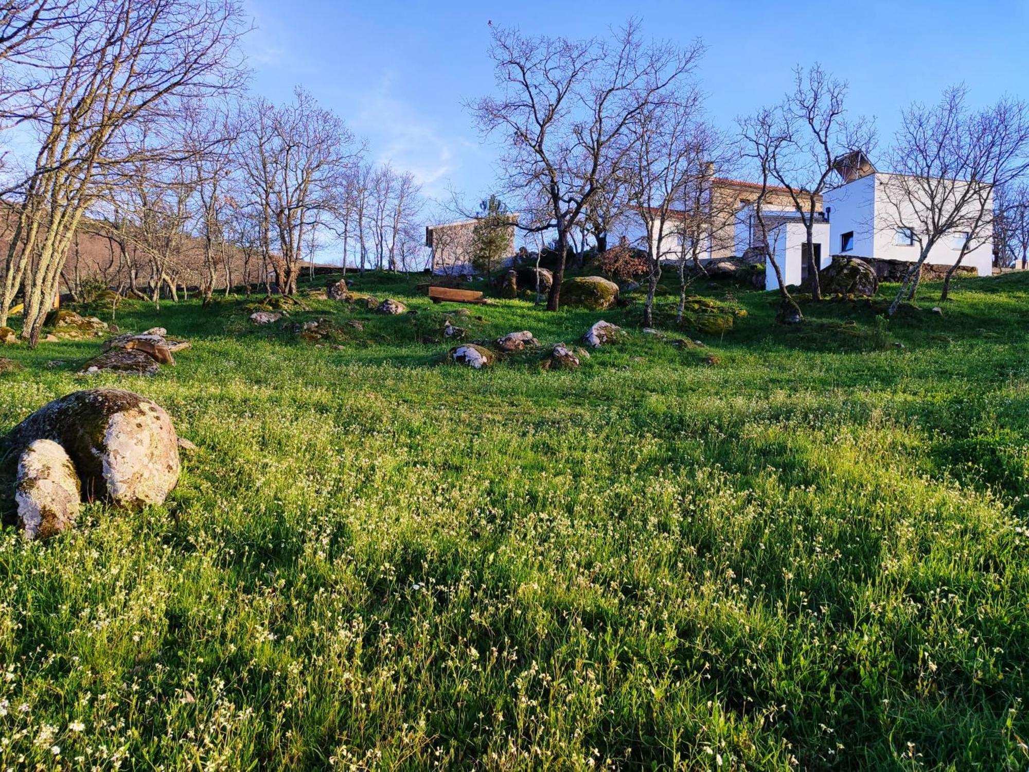 Quinta Dos Carvalhais - Serra Da Estrela Форнуш-ди-Алгодриш Экстерьер фото