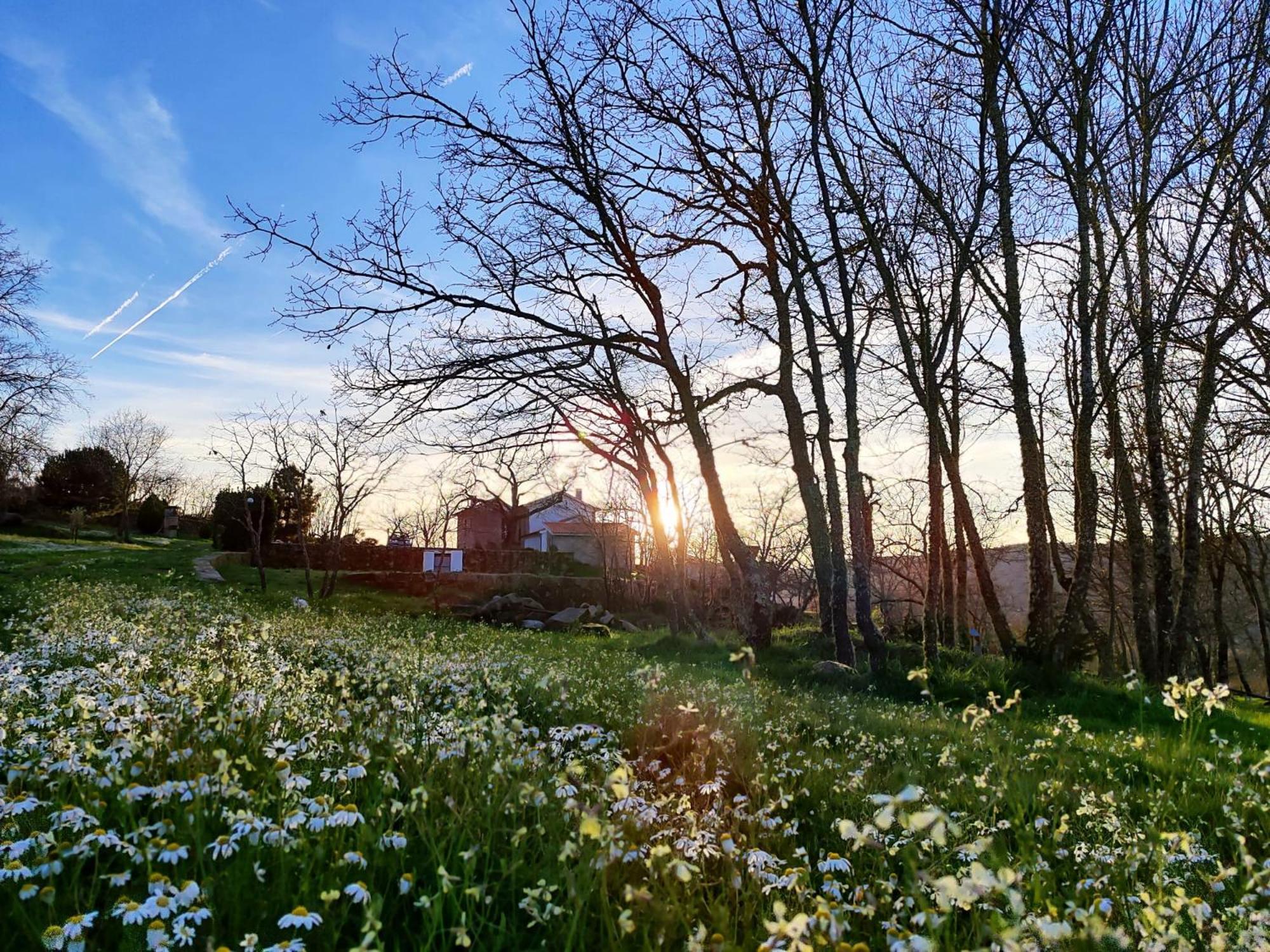 Quinta Dos Carvalhais - Serra Da Estrela Форнуш-ди-Алгодриш Экстерьер фото