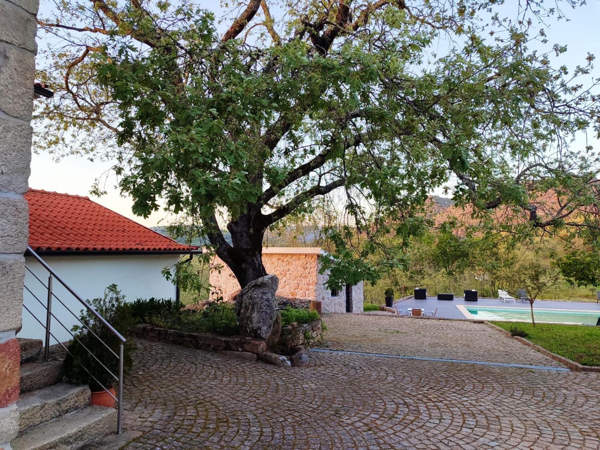 Quinta Dos Carvalhais - Serra Da Estrela Форнуш-ди-Алгодриш Экстерьер фото